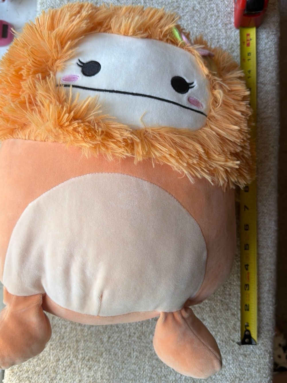Shasa Orange and Cream Plush Cozy Pet Pillow